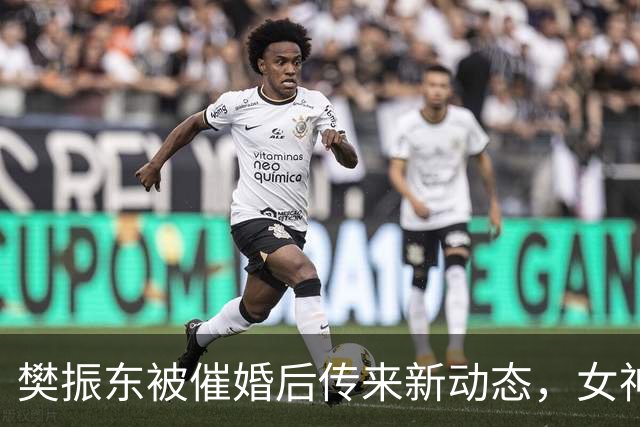 樊振东被催婚后传来新动态，女神身价超20亿美元，难怪拒绝百万带薪假